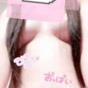 ヒメ日記 2025/04/11 09:36 投稿 ふゆ 横浜ひよこ倶楽部