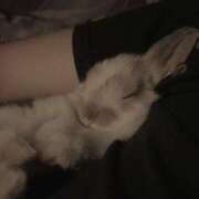 ヒメ日記 2025/05/04 21:26 投稿 ふゆ 横浜ひよこ倶楽部