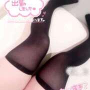 ヒメ日記 2025/05/08 12:26 投稿 ふゆ 横浜ひよこ倶楽部