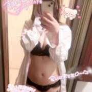 ヒメ日記 2025/05/08 12:39 投稿 ふゆ 横浜ひよこ倶楽部