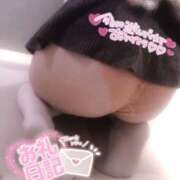 ヒメ日記 2025/05/10 22:26 投稿 ふゆ 横浜ひよこ倶楽部