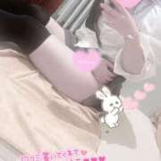 ヒメ日記 2025/06/12 16:25 投稿 ふゆ 横浜ひよこ倶楽部