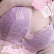 ヒメ日記 2025/06/20 13:56 投稿 ふゆ 横浜ひよこ倶楽部