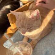 ヒメ日記 2025/09/26 17:56 投稿 ふゆ 横浜ひよこ倶楽部