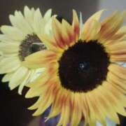 ヒメ日記 2025/08/17 09:36 投稿 ゆうり 川崎・東横人妻城