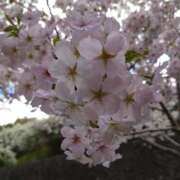 ヒメ日記 2025/04/06 10:14 投稿 沖宮那美 プルデリR40