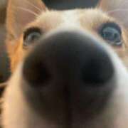 ヒメ日記 2025/04/18 10:19 投稿 沖宮那美 プルデリR40