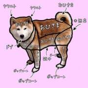 ヒメ日記 2025/04/14 12:12 投稿 沖宮那美 プルデリR40滋賀店