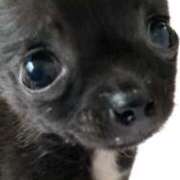 ヒメ日記 2025/04/27 08:53 投稿 沖宮那美 プルデリR40滋賀店