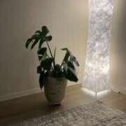 ヒメ日記 2025/05/05 16:30 投稿 あおい 神田ハンドメイド