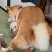 ヒメ日記 2025/11/27 15:48 投稿 あおい 神田ハンドメイド