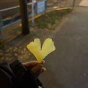 ヒメ日記 2025/12/12 12:30 投稿 あおい 神田ハンドメイド