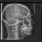 ヒメ日記 2025/12/25 12:30 投稿 あおい 神田ハンドメイド