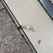 ヒメ日記 2026/04/29 00:26 投稿 あおい 神田ハンドメイド