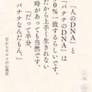 ヒメ日記 2026/10/17 17:17 投稿 あおい 神田ハンドメイド
