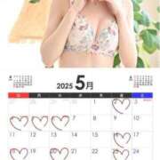 ヒメ日記 2025/04/23 15:04 投稿 Orina THE MUSE