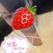 いちご 出勤しました♡ 奥様特急　池袋・大塚店