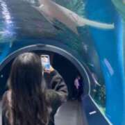 ヒメ日記 2025/06/03 17:03 投稿 にこ アニバーサリー