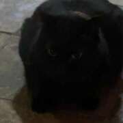 ヒメ日記 2025/06/03 19:09 投稿 にこ アニバーサリー