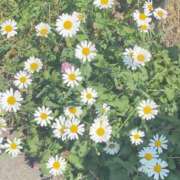 ヒメ日記 2025/07/01 18:53 投稿 にこ アニバーサリー