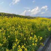 ヒメ日記 2025/04/08 12:29 投稿 ゆうり★神乳Gカップ！キス好き Chloe錦糸町店 S級素人清楚系デリヘル