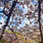 ヒメ日記 2025/04/20 22:21 投稿 ゆうり★神乳Gカップ！キス好き Chloe錦糸町店 S級素人清楚系デリヘル