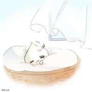 ヒメ日記 2025/06/24 21:17 投稿 ゆうり★神乳Gカップ！キス好き Chloe錦糸町店 S級素人清楚系デリヘル