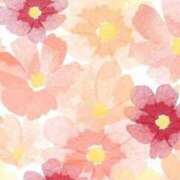 ヒメ日記 2025/08/14 11:09 投稿 みりあ 鹿児島ちゃんこ霧島店