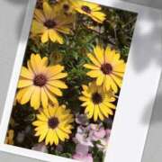 ヒメ日記 2025/05/05 10:55 投稿 みく先生 女教師