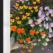 ヒメ日記 2025/05/11 16:05 投稿 みく先生 女教師