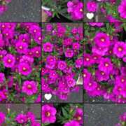 ヒメ日記 2025/05/18 13:55 投稿 みく先生 女教師