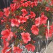 ヒメ日記 2025/05/23 18:15 投稿 みく先生 女教師