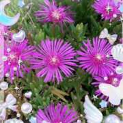 ヒメ日記 2025/06/10 17:15 投稿 みく先生 女教師