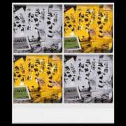 ヒメ日記 2025/07/15 18:55 投稿 みく先生 女教師