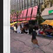 ヒメ日記 2025/07/28 11:05 投稿 みく先生 女教師