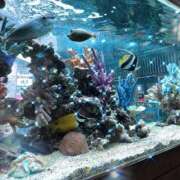 ヒメ日記 2025/09/02 13:55 投稿 みく先生 女教師