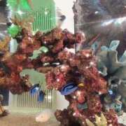 ヒメ日記 2025/09/06 10:55 投稿 みく先生 女教師