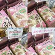 ヒメ日記 2025/09/15 20:55 投稿 みく先生 女教師