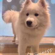 あか あかです♡ 池袋あられ