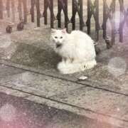 あか あかです♡ 池袋あられ