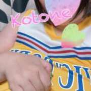 ヒメ日記 2025/10/19 00:39 投稿 ことね 香川高松ちゃんこ