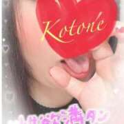 ヒメ日記 2025/11/19 15:19 投稿 ことね 香川高松ちゃんこ