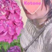 ヒメ日記 2025/11/28 02:39 投稿 ことね 香川高松ちゃんこ