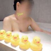 ヒメ日記 2025/05/06 21:34 投稿 ゆの チューリップ福井別館