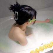 ゆの 事前に👏🏻 チューリップ福井別館