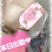 ヒメ日記 2025/04/17 19:32 投稿 ほのか ビアガーデンカーニバル