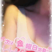 ヒメ日記 2025/04/18 01:01 投稿 ほのか ビアガーデンカーニバル