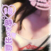 ヒメ日記 2025/04/21 07:41 投稿 ほのか ビアガーデンカーニバル