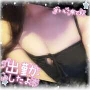 ヒメ日記 2025/04/29 12:03 投稿 ほのか ビアガーデンカーニバル