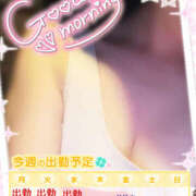 ヒメ日記 2025/05/12 07:22 投稿 ほのか ビアガーデンカーニバル